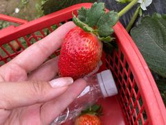 -会江钓鱼钓虾烧烤场