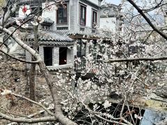 -老张烤羊(王哥庄店)