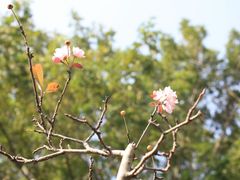 -桤木河湿地公园