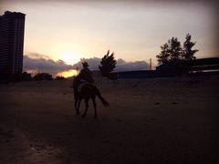 -碧桂园十里银滩