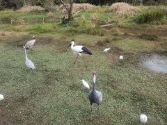 -普洱太阳河森林公园