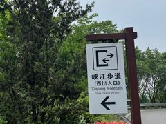 -铁山坪森林公园