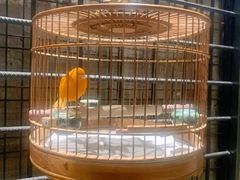 -川旺角川粤融合菜•海景餐厅(星海广场店)