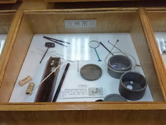 android_upload_pic-上海大自然野生昆虫馆