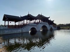 -上海海湾国家森林公园