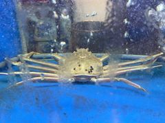 -上海会馆(香港名都店)