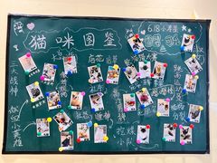 -藏猫猫咖啡主题馆(中央大道店)