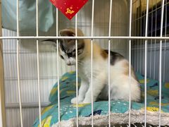 -Xian鲜趣人生(青湖印象名邸店)