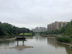 -金山公园