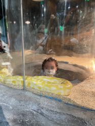 -Zoolung Zoolung动物主题公园(海信广场店)