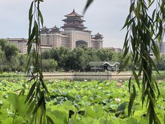-莲花池公园