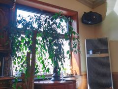 -申德勒加油站西餐厅(日坛路总店)