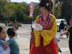 -白马涧龙池景区