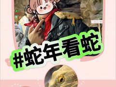 -上海大自然野生昆虫馆(东方明珠·爬宠昆虫探索中心)