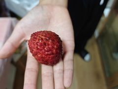 -赛纳河休闲商务会馆(天宁寺店)