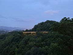 -福道