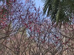-木塔寺遗址生态公园