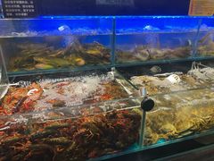 -苏格里岛自助烤肉海鲜火锅(成都金牛万达店)