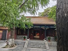 -戏马台景区