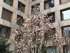 -和美电影艺术中心(万国城店)