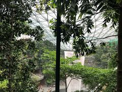-樟宜机场免税店
