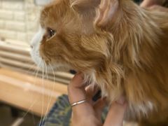 -平行世界·猫咖(首经贸店)