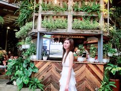 -Rainforest