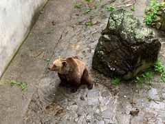 -捷克克鲁姆洛夫城堡