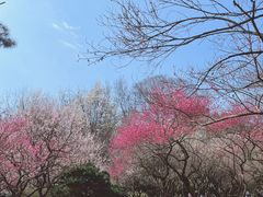 -杭州植物园