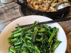 -食德喜·阳山鸡王食研基地
