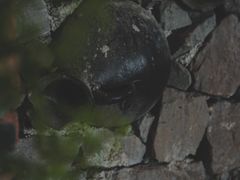 -远山有窑