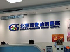 -北京观赏动物医院·24小时大型综合·猫专科·异宠专科