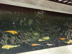 -龙悦湾酒家·八阵鱼生·渔人码头店