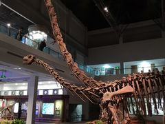 -自贡恐龙博物馆