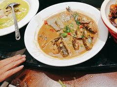 -高老庄新家宴(北斗星广场店)