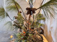 -曲廊院(东四十一条店)