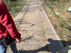 -青龙山国家森林公园