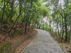 -峙山公园