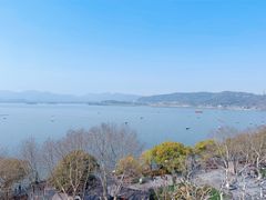 -杭州君悦酒店