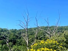 -北京鹫峰国家森林公园