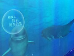 -骑鹅公社(南开大悦城店)