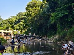 -北仑森林植物园