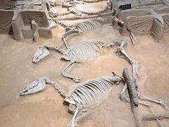 -洛阳周王城天子驾六博物馆