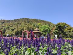 -广州市石门国家森林公园