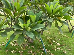 -K·Kitchen KK牛扒厨房(江南西店)