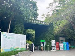 -华侨城湿地公园