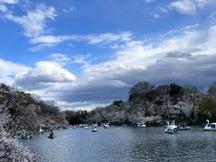 -井之头恩赐公园