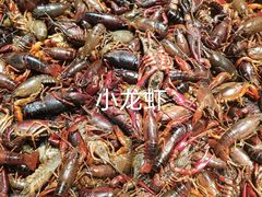 -鼎香缘海鲜自助火锅烤肉(锦辉购物广场店)
