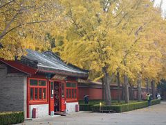 -成都驻京办餐厅(蜀都宾馆店)