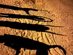 -千龙湖生态旅游度假区